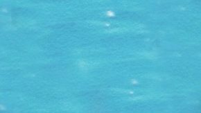 Photo: Unsplash/@margot_pandone