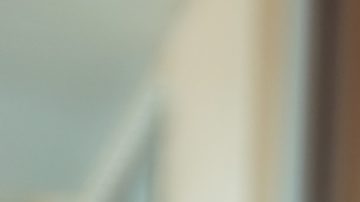 Photo: Unsplash/@mosesvega