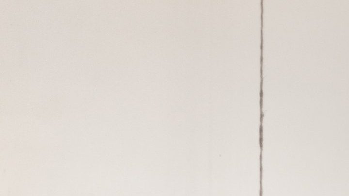 Photo: Unsplash/@priscilladupreez