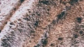 Photo: Unsplash/@veroniki