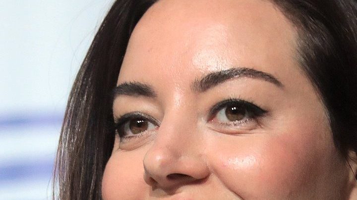 Aubrey Plaza Hulu series