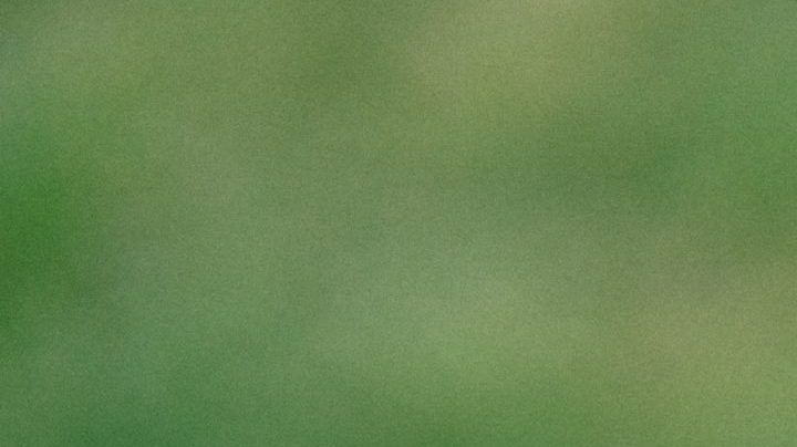 Photo: Unsplash/@aliixar