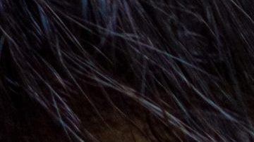 Photo: Unsplash/photosbychalo