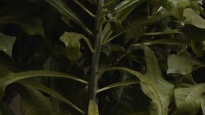 Photo: Unsplash/@contentpixie