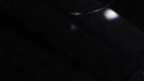 Photo: Unsplash/@greysonjoralemon