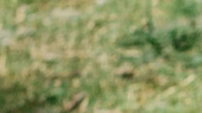 Photo: Instagram/@peteridowu