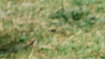 Photo: Instagram/@peteridowu