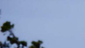 Photo: Unsplash/@gracamateusassane