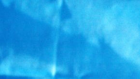 Photo: Unsplash/@sharonmccutcheon