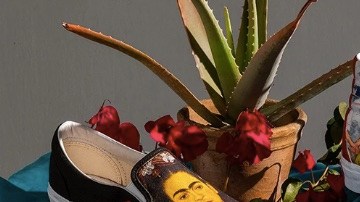 vans frida kahlo shoes