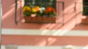 Latina, Venezuela, Immigrant, Authentic, Unapologetic,