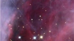 Art by Johanna Ferreira