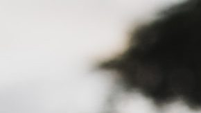 Photo: Unsplash/@eduardotdp