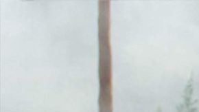 gabriel luna terminator