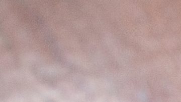 Photo: Unsplash/@louishansel