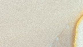 Photo: Unsplash/@noahbuscher