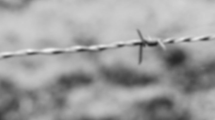 Photo: Unsplash/@roi_dimor