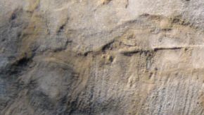 Photo: Unsplash/@tomterifx