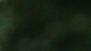 Photo: Unsplash/@iamzeny