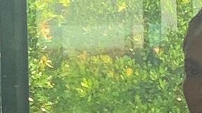 Photo: Instagram/jlo