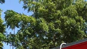 selena's family sue event organizer