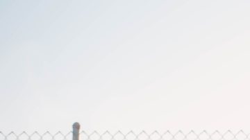 Photo: Unsplash@andrewtanglao