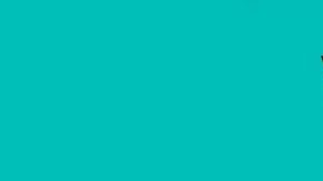 Art by Johanna Ferreira