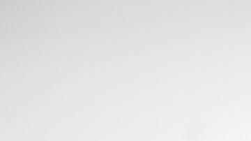 Photo: Unsplash/@josholalde