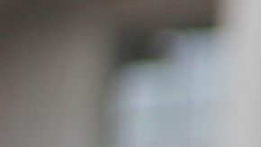 Photo: Unsplash/@melanyrochester