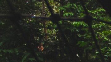 Photo: Unsplash/@michelpaz