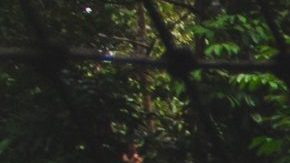 Photo: Unsplash/@michelpaz