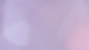 Photo: Unsplash/@sharonmccutcheon