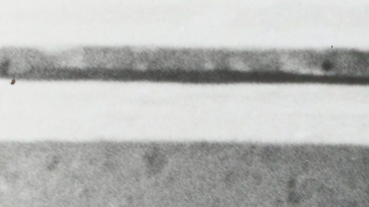 Photo: Unsplash/@nypl