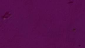 Photo: Unsplash/@timmossholder