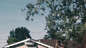 Photo: Unsplash/iamzoeyluna