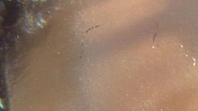 Photo: Instagram/lizzobeeating