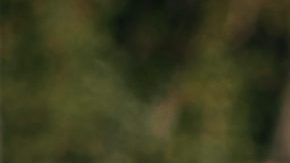 Photo: Unsplash/@belart84