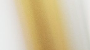 Photo: Unsplash/@fr3nks