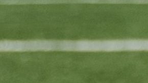 Photo: Unsplash/@aussiedave