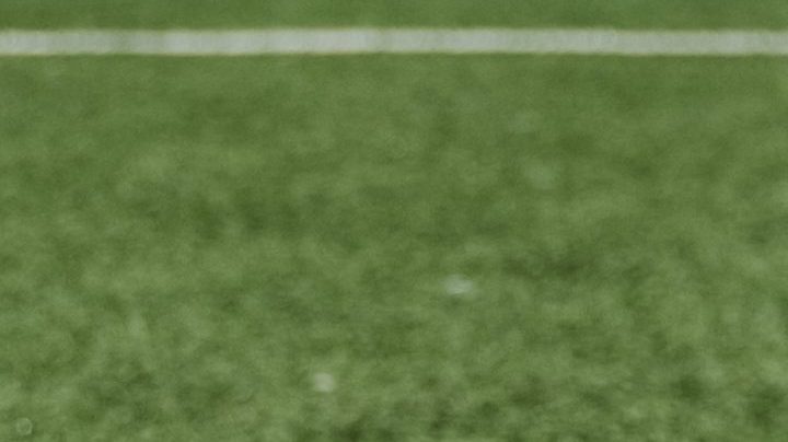 Photo: Unsplash/@aussiedave