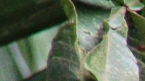 Photo: Unsplash/@fin777