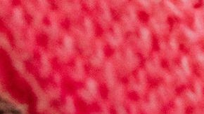 Photo: Unsplash/@hannahbusing