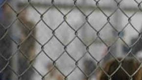 latina sued ice covid
