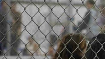 latina sued ice covid