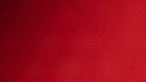 Photo: Unsplash/@ninjason