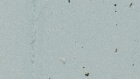 Photo: Unsplash/@joanna_nix