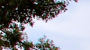 Photo: Unsplash/@koopfilms