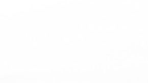 Photo: Unsplash/@noahbuscher