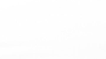 Photo: Unsplash/@noahbuscher