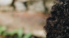 Photo: Unsplash/@honeyyanibel